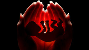 Embryology in the Quran, Quran and embryology, Embryonic stages in Quran, Human development in Islam, Stages of fetus in Quran,ensoulment in islam