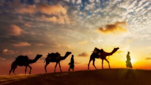 animals in the Qur'an and science