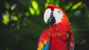 animals in the Qur'an and science